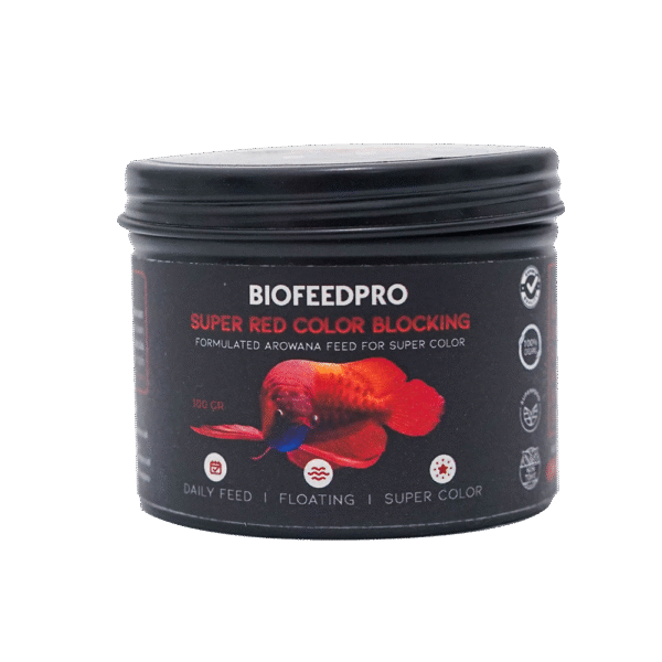 AROWANA SUPER RED COLOR BLOCKING INTENSE COLOR PELET