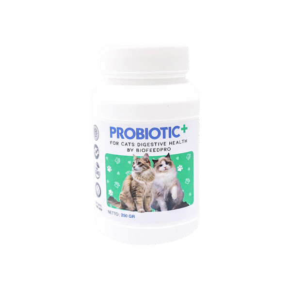 PROBIOTIC+ FOR CATS DIGESTIVE HEALTH