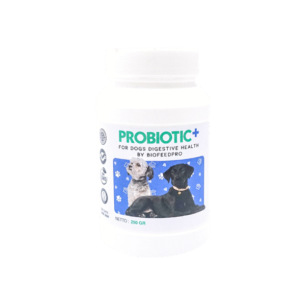 PROBIOTIC+ FOR DOGS DIGESTIVE HEALTH