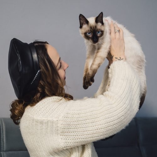 Pretty woman playing with siamese cat Lovely woman playing with Siamese cat at home. Friendship between humans and animals